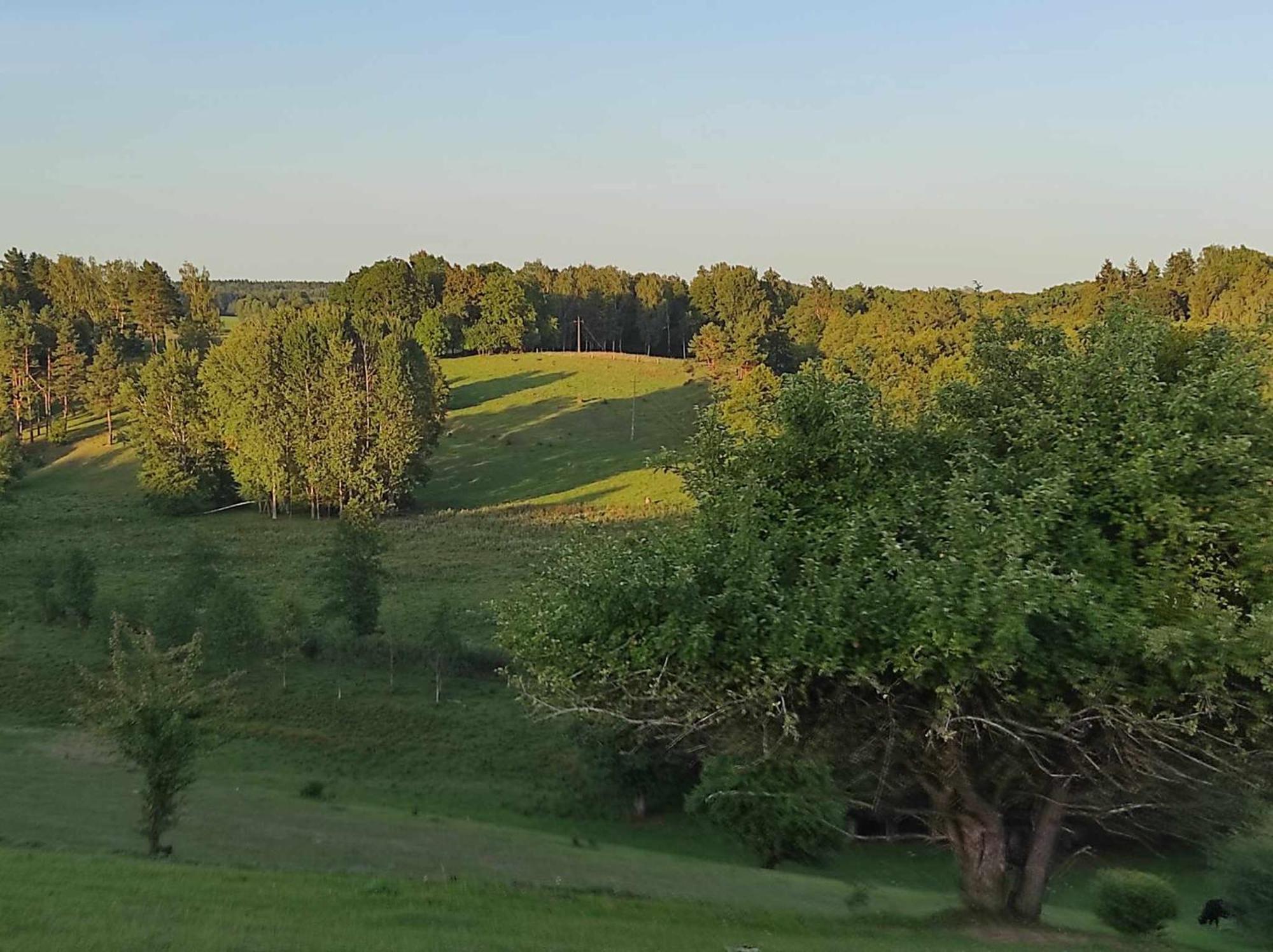 Jablkowo-Na Skraju Puszczy Boreckiej Sniadania W Cenie Jablonowo ภายนอก รูปภาพ