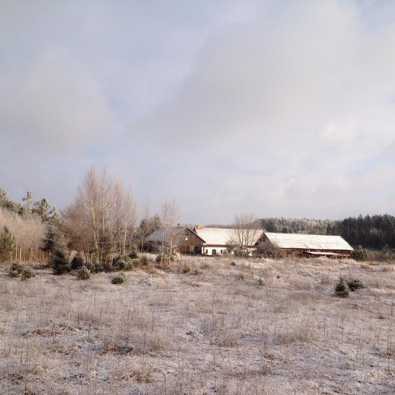 Jablkowo-Na Skraju Puszczy Boreckiej Sniadania W Cenie Jablonowo ภายนอก รูปภาพ